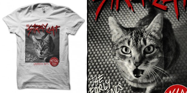 Stray Cat