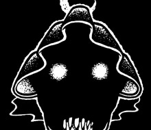 Death till Dawn